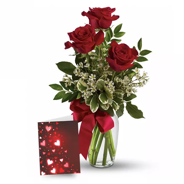 3 Red Roses & Card - Flower Delivery New Zealand