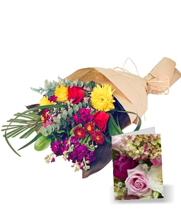 Emballage cadeau rustique et ensemble de cartes de voeux