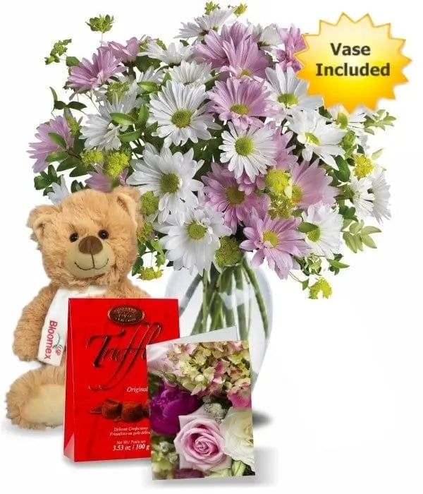 Chrysanthème Collection d'Amour 4 Fleur Québec