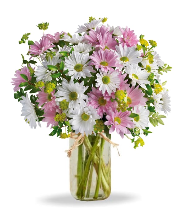 Collection Chrysanthème Love dans un pot Mason