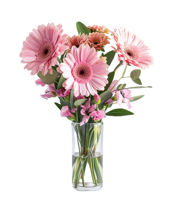 Variété de nuances de rose : découvrez la teinte parfaite pour vos besoins