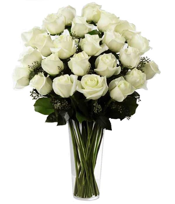 Livraison de 24 bouquets de roses blanches à longue tige