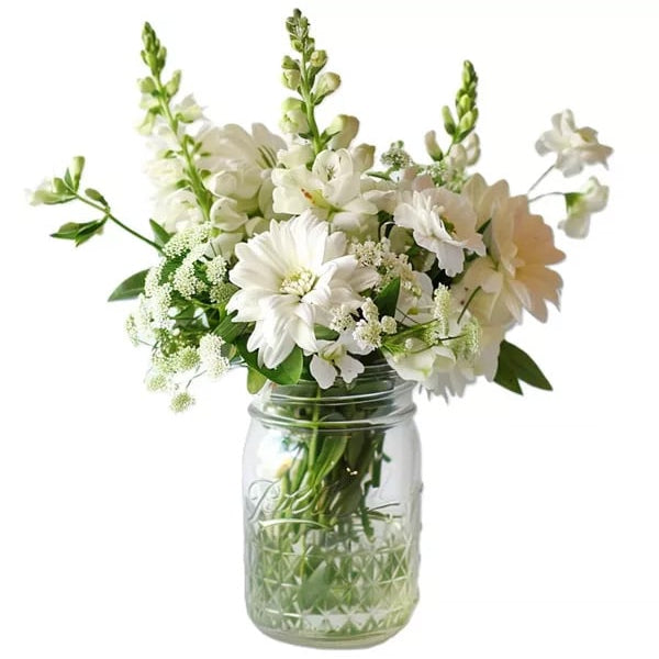 Merveille blanche de marguerites dans un pot Mason Fleur Québec