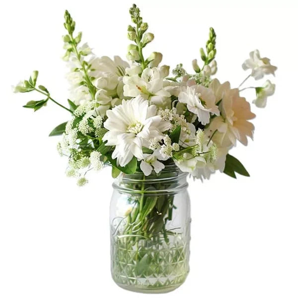 White marvel of daisies in a Mason jar