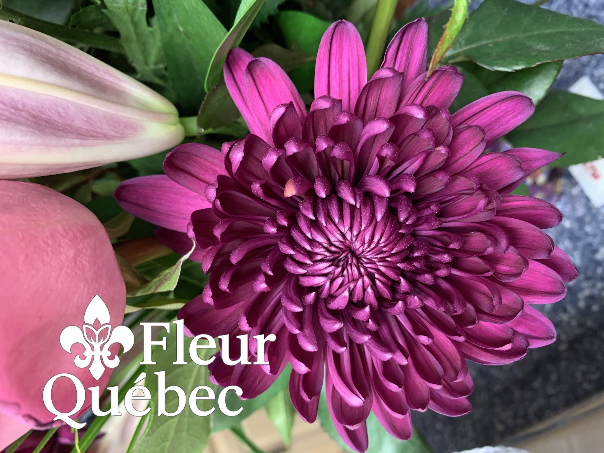 Fleurs d'Automne Durables au Québec : Le Guide Ultime - Fleur Québec