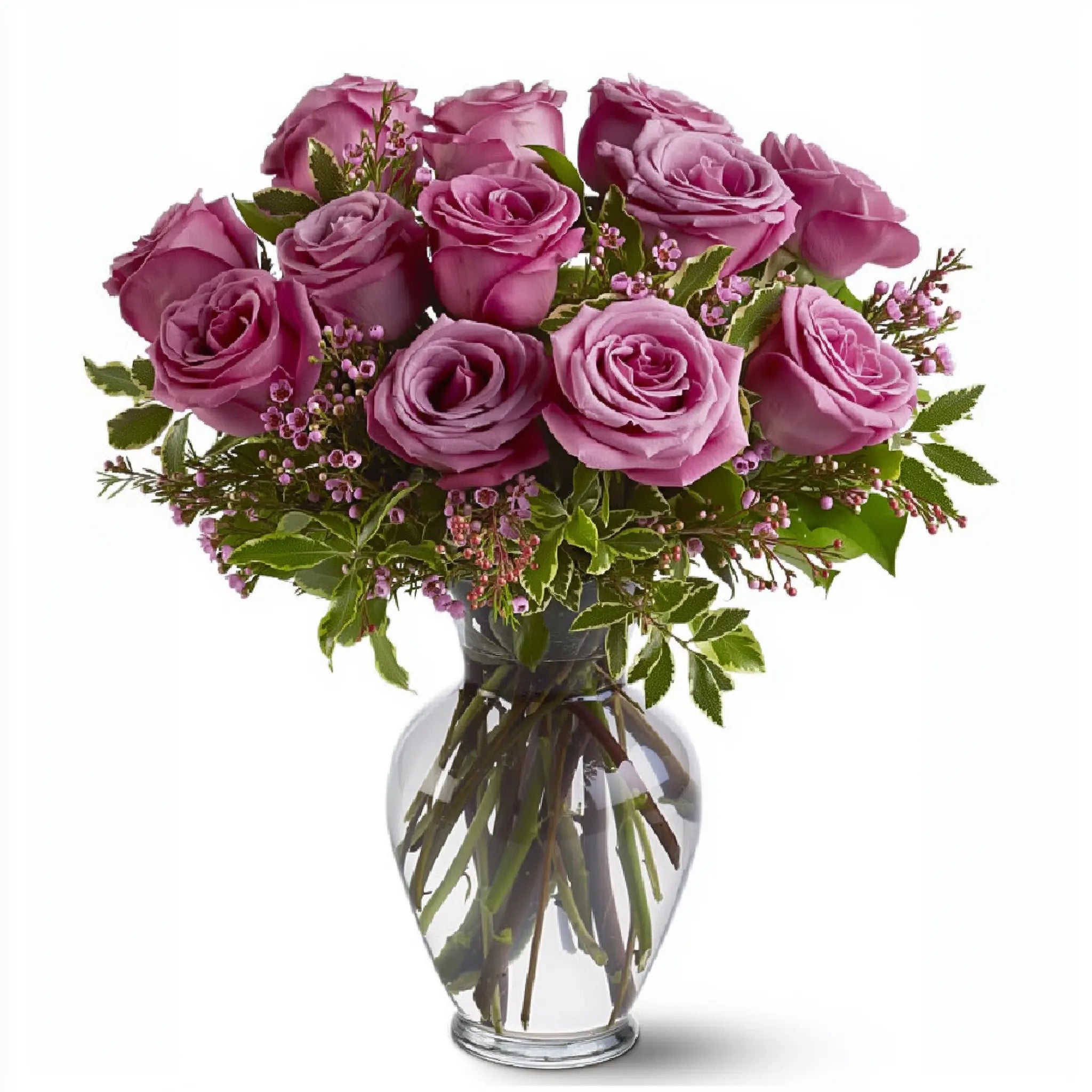 Roses Fleur Quebec