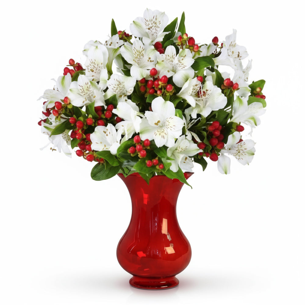 100 fleurs d’Alstroemeria festives (25 Tiges)