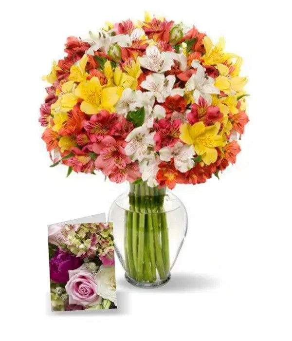 100 fleurs d'alstroémères, Fête des Mères I