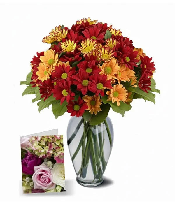 Bouquet of 50 autumn flowers – seasonal brightness for the home