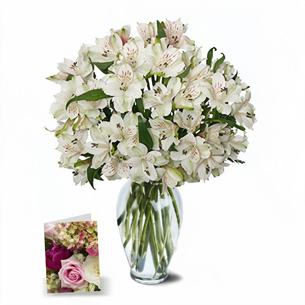 Alstroemeria Easter Bouquet - 50 vibrant flowers for spring celebrations
