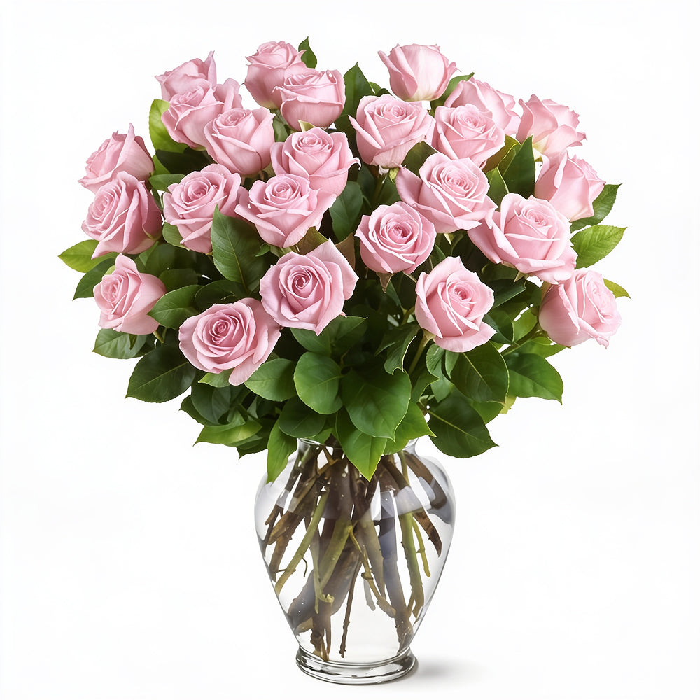 Bouquet de 36 Roses Roses à Longue Tige