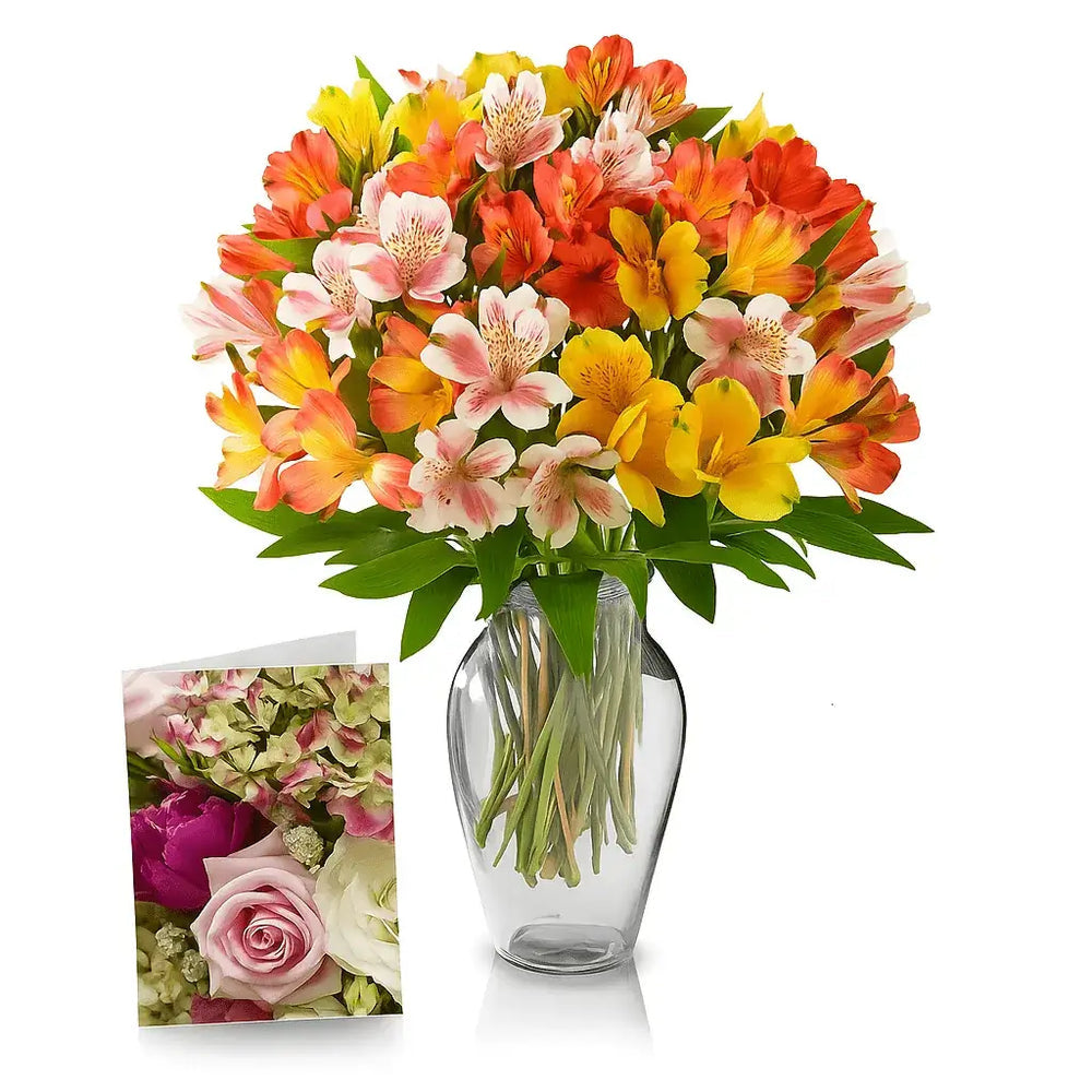 Bouquet of 50 Alstroemeria flowers - Fresh and vibrant flower delivery