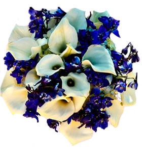 Blue and White Joy : une décoration intérieure vibrante pour un espace de vie élégant