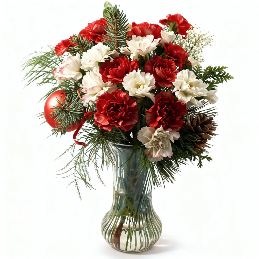 Arrangement floral d’hiver élégant - 24 Œillets Rouges et Blancs, Verdure