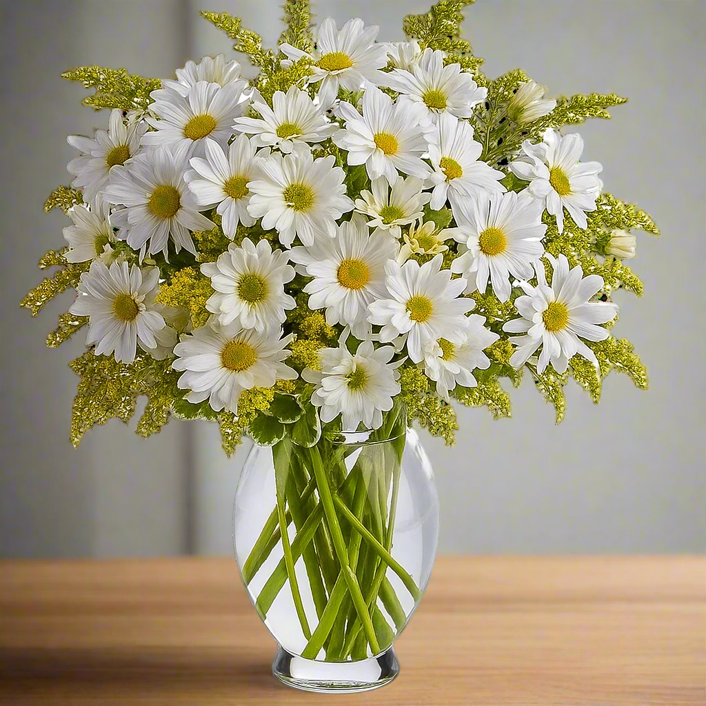 Bouquet de marguerites blanches classiques fraîches pour la décoration intérieure et les événements Fleur Québec