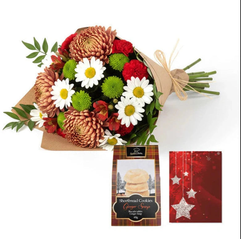 Collection de créateurs de Noël I: L'Art Floral pour des Fêtes Mémorables (12 Tiges)