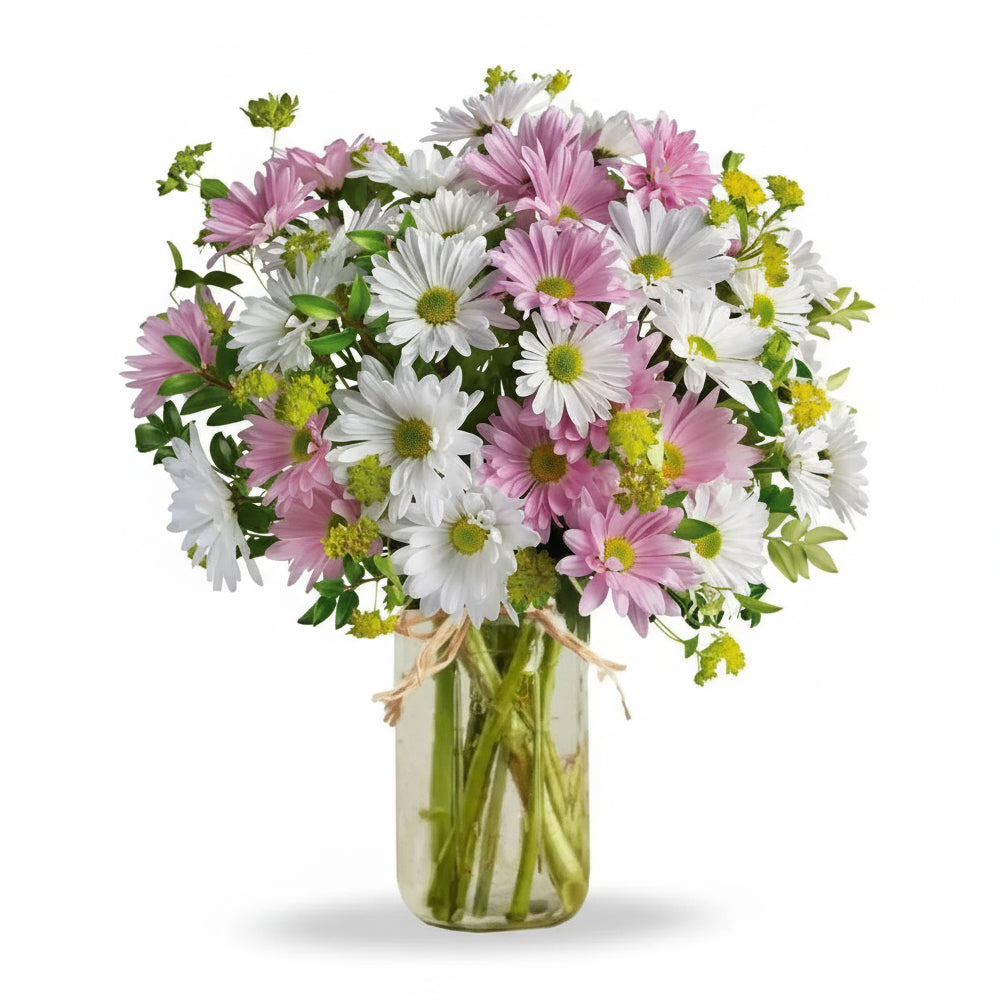 Chic et Lumineux : Chrysanthèmes Marguerites dans Pot Mason (Nouvelle naissance)