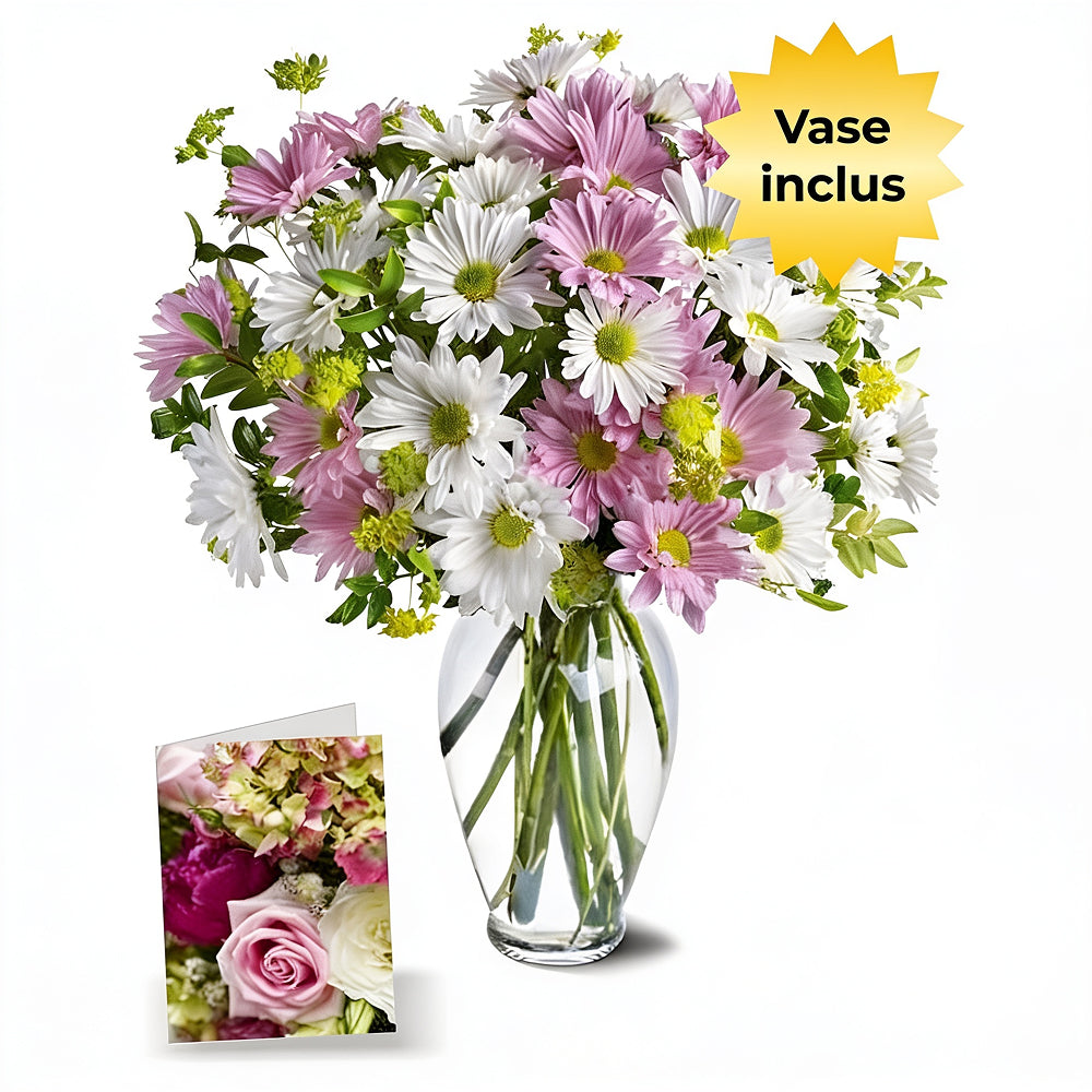 Chrysanthème Collection d'Amour 2