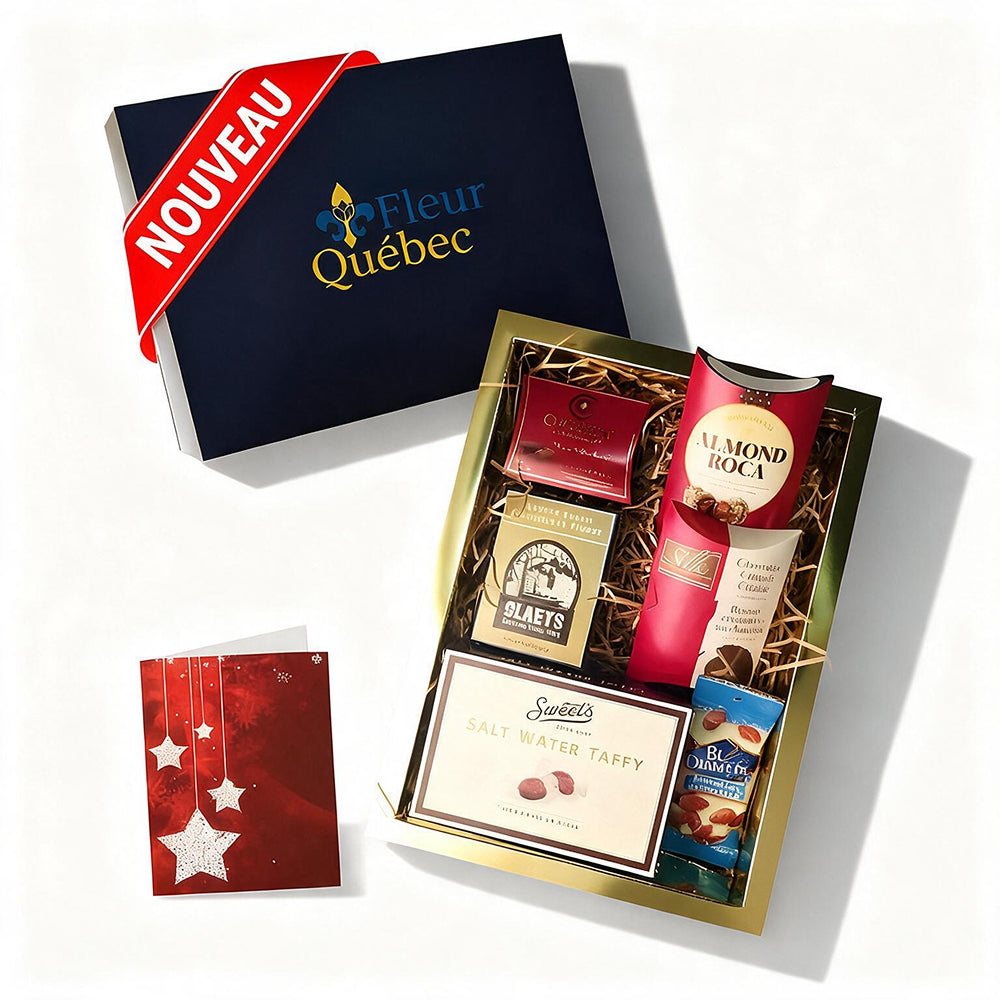 Coffret Cadeau Gourmand Sucré Salé Luxe Fêtes : Chocolat, Truffes, Fudge, Amandes Salées