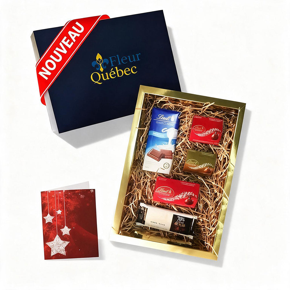 Coffret Cadeau Luxe Chocolat Lindt – Assortiment de 5 Chocolats Exquis pour les Fêtes