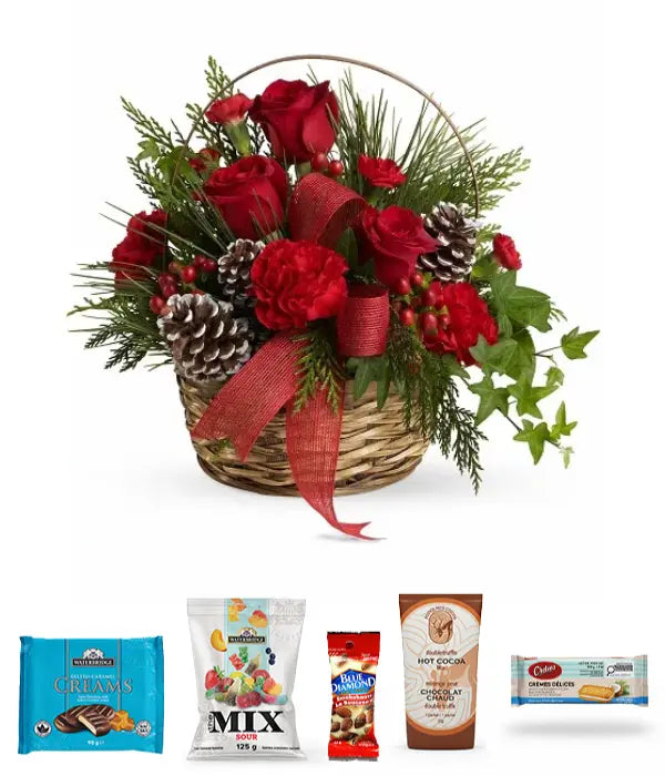 Jardinière Splendeur de Noël + Trousse gourmande