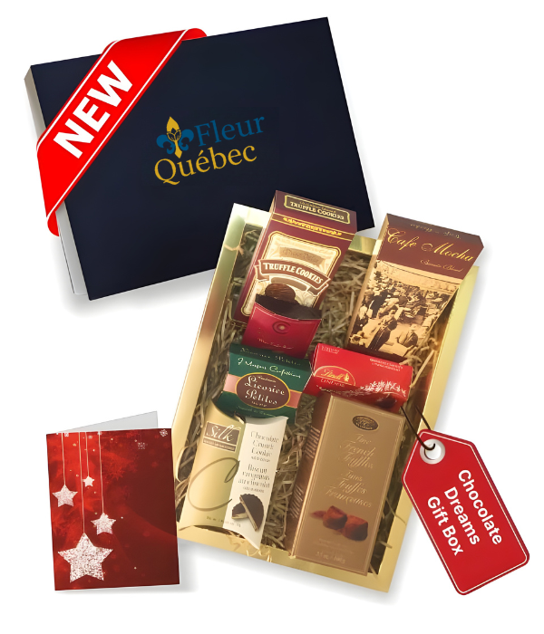 Coffret Cadeau Chocolat Luxe – Collection Gourmet des Fêtes (8 Friandises)