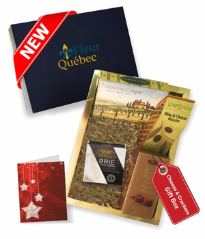 Coffret Cadeau Gourmand Luxe : Fromage Brie & Craquelins Fins (Fêtes)