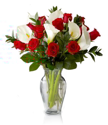 Endless Love : Collection Romance intemporelle