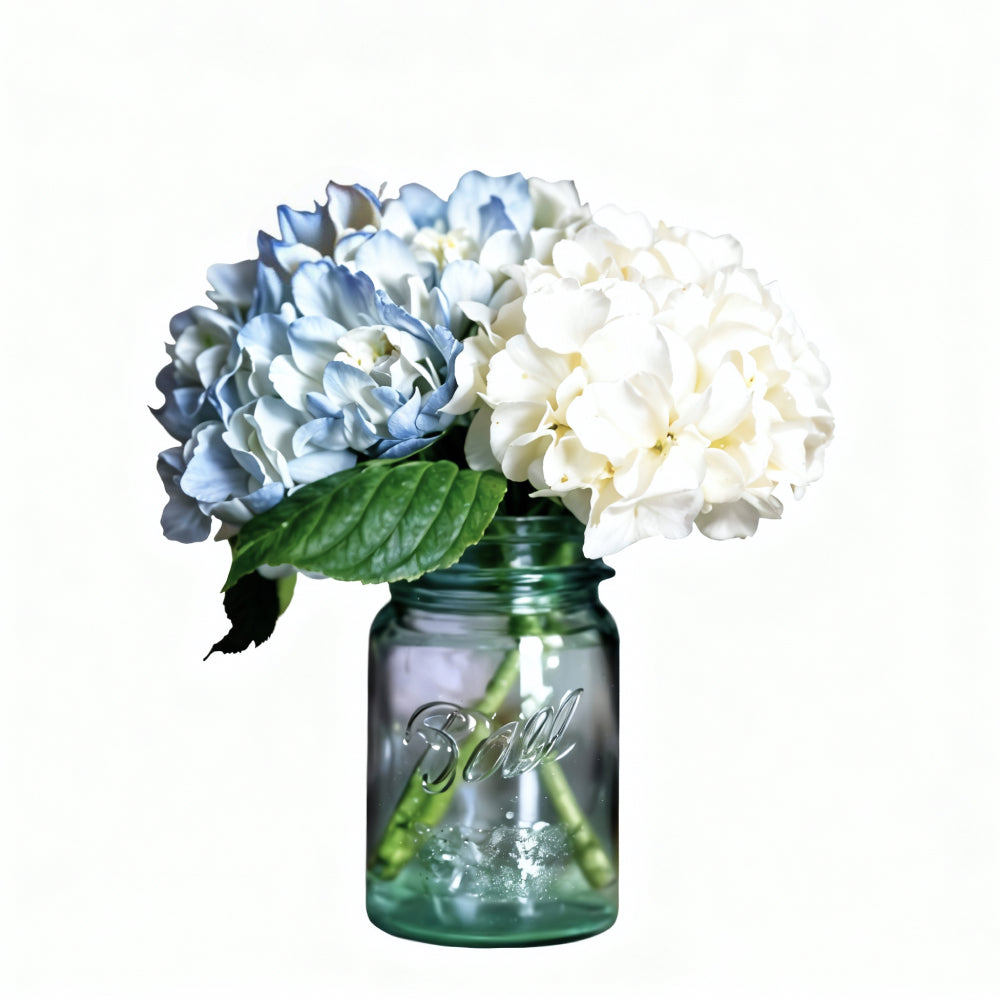 La Touche d'Élégance Parfaite : Bouquet Hortensias Parfumés Chic (Pot Mason)