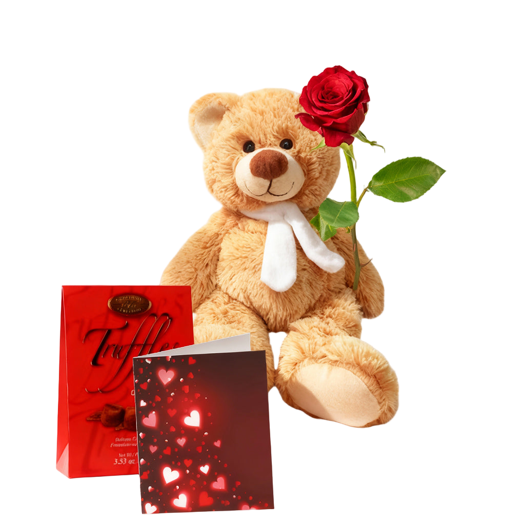 Ensemble : Rose Rouge, Truffes, Carte d'Amour et Ours en Peluche de Luxe
