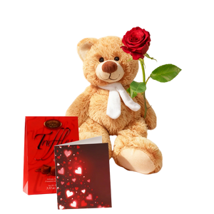 Ensemble : Rose Rouge, Truffes, Carte d'Amour et Ours en Peluche de Luxe
