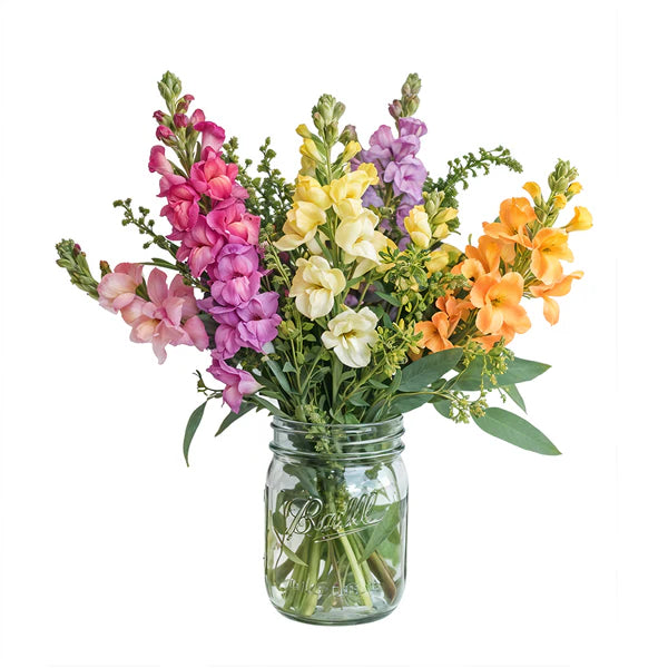 Illuminez Votre Maison Facilement : Ensemble 6 Mufliers Vibrants