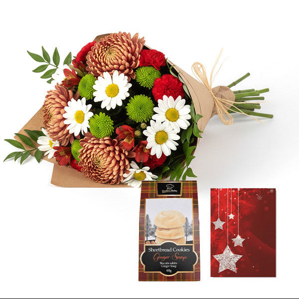 Collection de créateurs de Noël I: L'Art Floral pour des Fêtes Mémorables (12 Tiges)