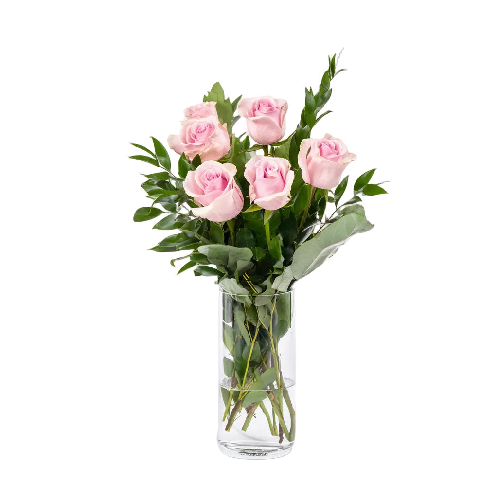 Half Dozen Pink Roses - Flower Delivery New Zealand