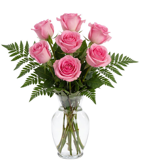 Demi-douzaine de roses roses Fleur Québec
