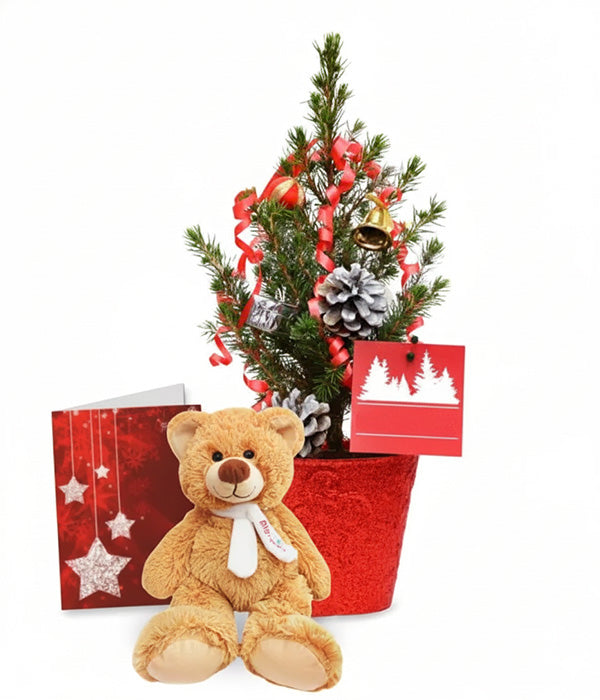 Mini Sapin de Noël Vivant III