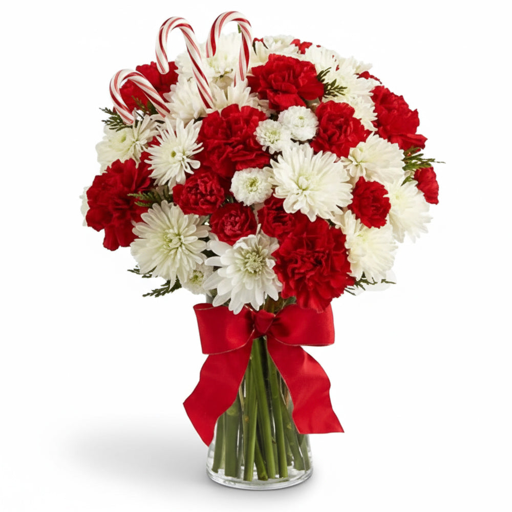 Œillets de Canne à Sucre (24 tigres) – Bouquet Festif de Noël - Fleur Quebec