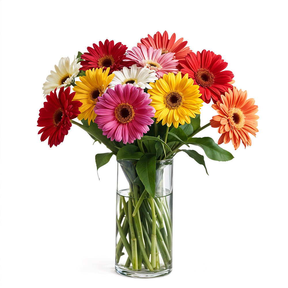 Vibrant Rainbow Gerbera Daisy Bouquet de fleurs Livraison