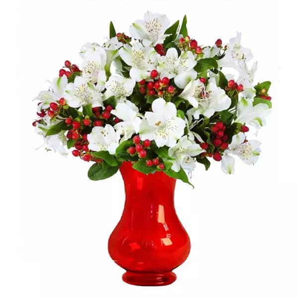 60 Blooms of Holiday Lilies - Flower Delivery New Zealand