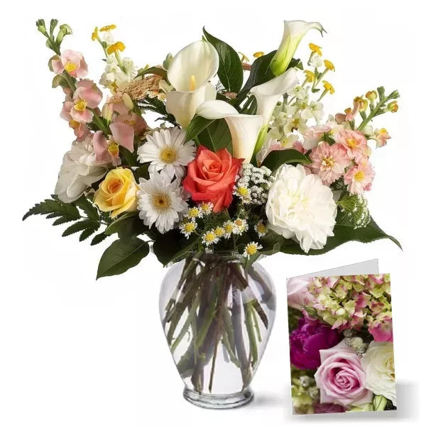 Anniversary Designer Collection I - Flower Delivery New Zealand
