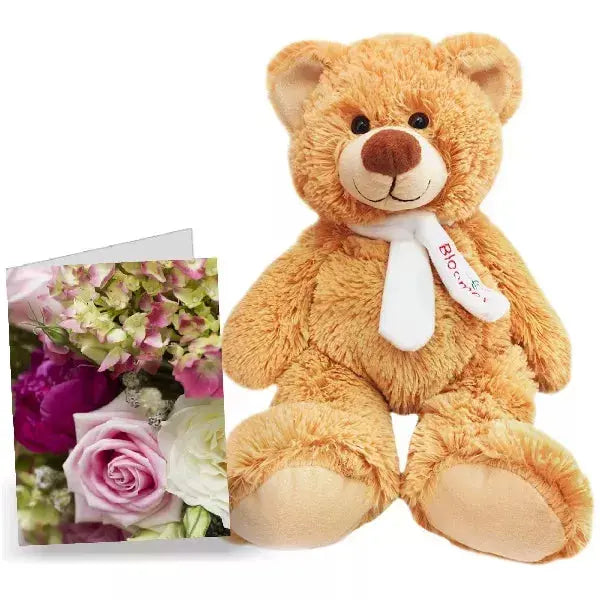 Card Teddy - Flower Delivery New Zealand