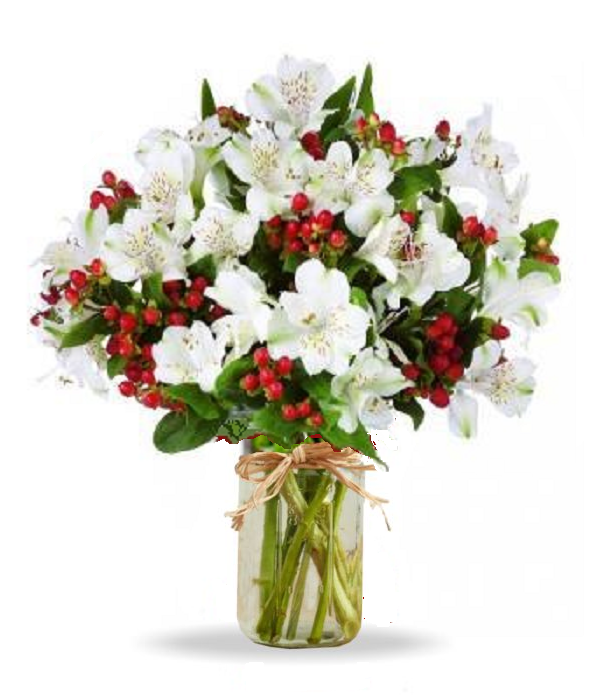 Bouquet festif 100 Bloom Alstroemeria dans un pot Mason - cadeau de vacances parfait