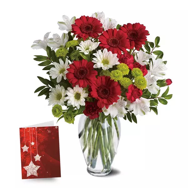 Christmas Bells I - Flower Delivery New Zealand