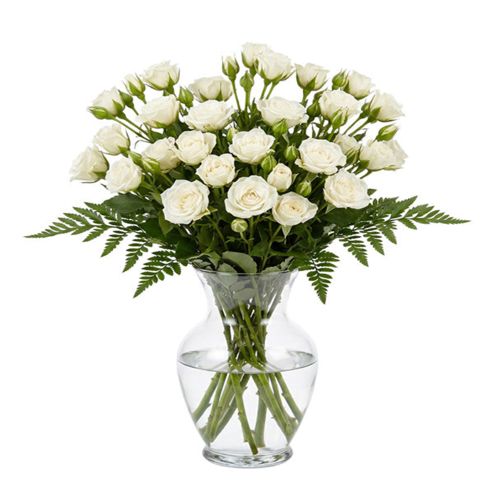 50 roses spray blanches