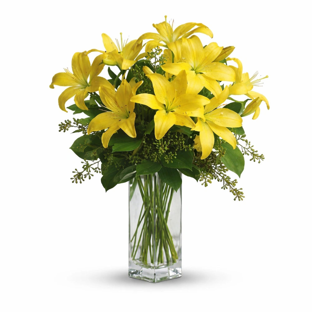 Lily Sunshine: a brightening skincare solution for radiant skin