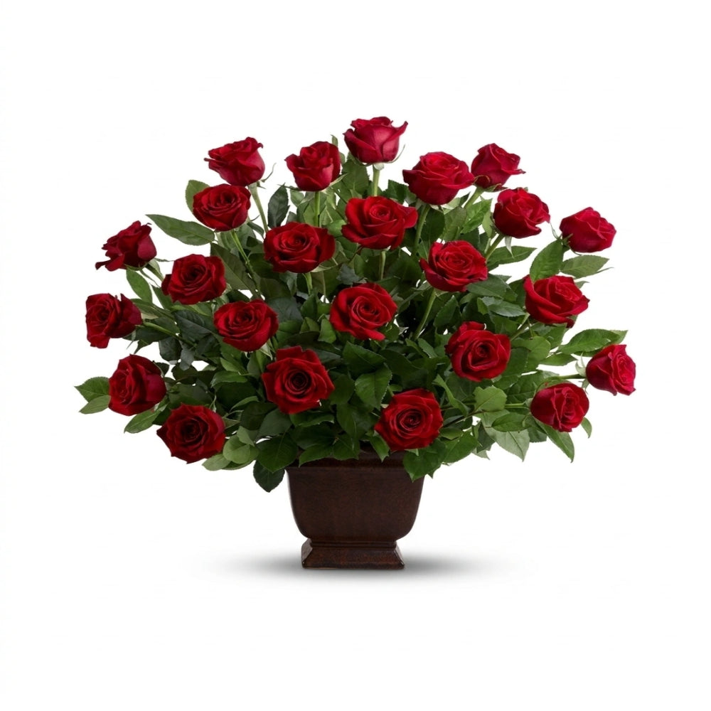 Bouquet Élégant de 24 Roses Rouges et Vertes "Rose Tribute" - Funérailles
