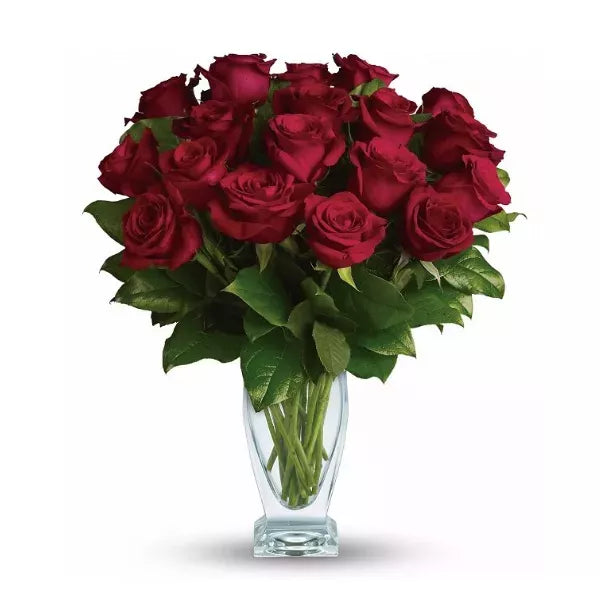 Eighteen Red Long Stem Roses - Flower Delivery New Zealand