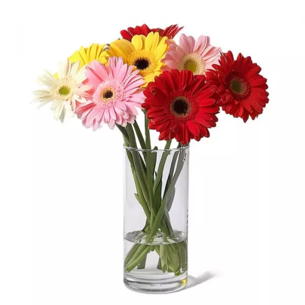 Gerbera Brights - Flower Delivery New Zealand