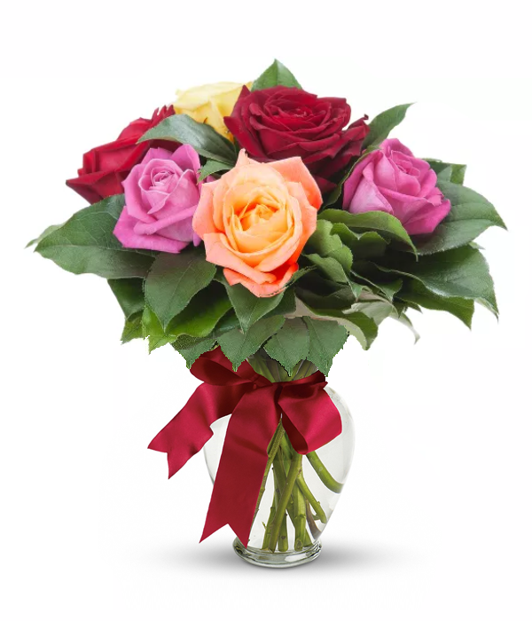 Acheter Roses Longues Tiges Mixtes - Bouquet d’une demi-douzaine