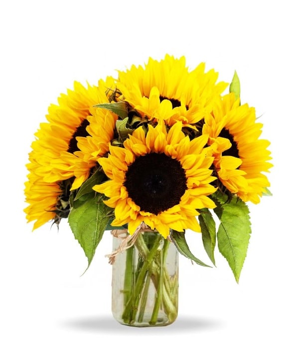 Bouquet de tournesol rustique en pot Mason - Décor de ferme